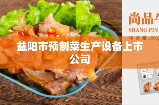 益阳市预制菜生产设备上市公司