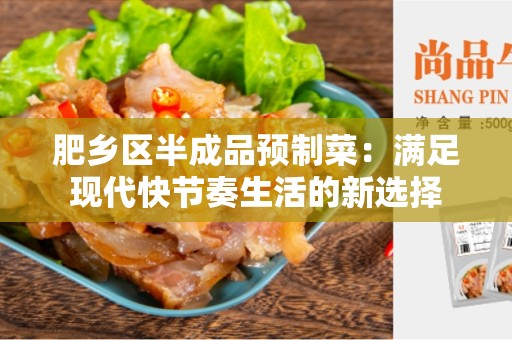 肥乡区半成品预制菜：满足现代快节奏生活的新选择