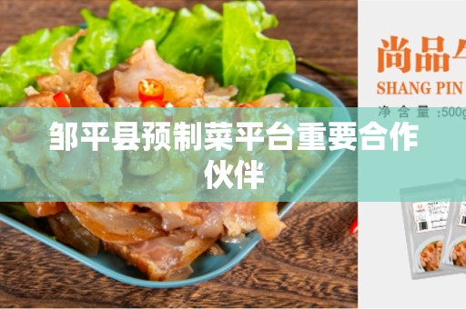 邹平县预制菜平台重要合作伙伴
