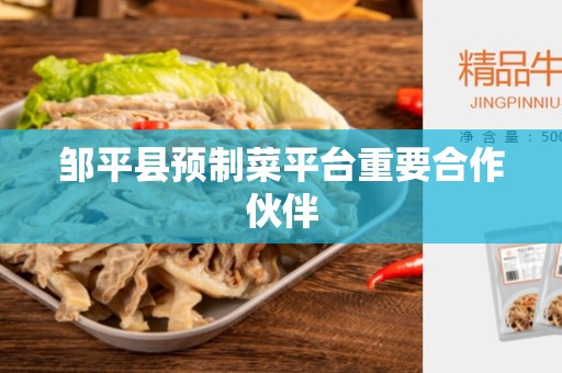 邹平县预制菜平台重要合作伙伴