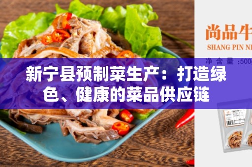 新宁县预制菜生产：打造绿色、健康的菜品供应链