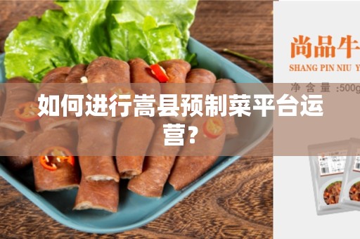 如何进行嵩县预制菜平台运营？