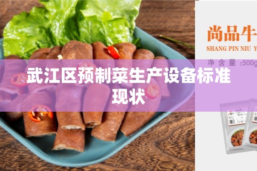 武江区预制菜生产设备标准现状