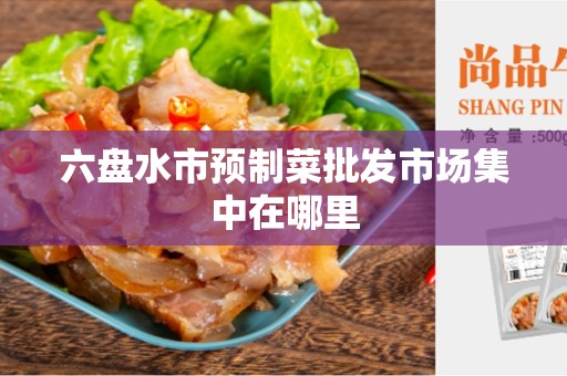 六盘水市预制菜批发市场集中在哪里