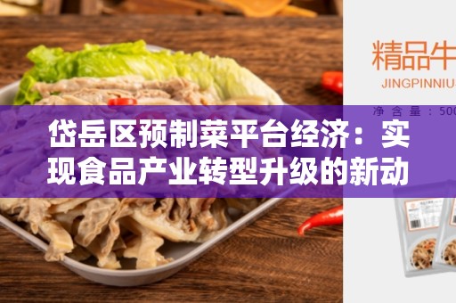 岱岳区预制菜平台经济：实现食品产业转型升级的新动力