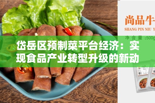 岱岳区预制菜平台经济：实现食品产业转型升级的新动力