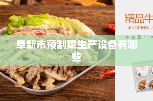 阜新市预制菜生产设备有哪些