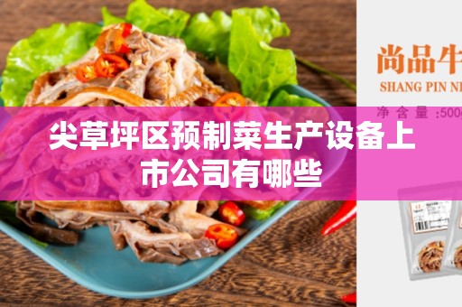 尖草坪区预制菜生产设备上市公司有哪些
