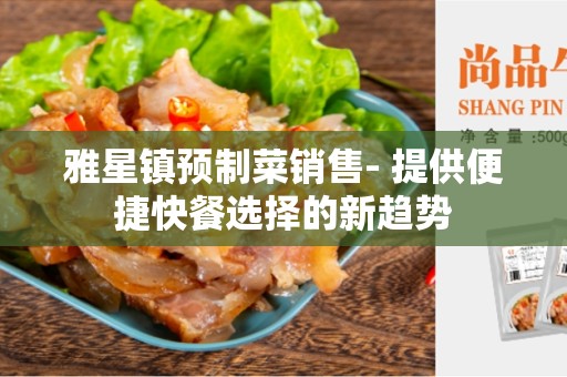 雅星镇预制菜销售- 提供便捷快餐选择的新趋势