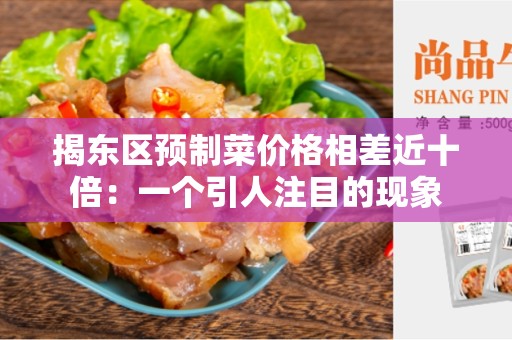 揭东区预制菜价格相差近十倍：一个引人注目的现象