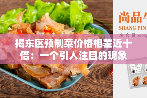 揭东区预制菜价格相差近十倍：一个引人注目的现象