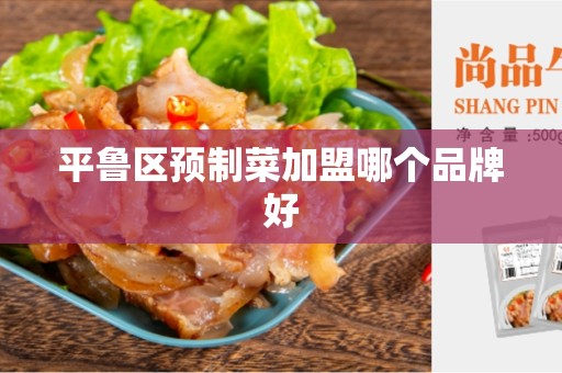 平鲁区预制菜加盟哪个品牌好