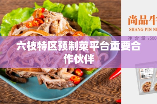 六枝特区预制菜平台重要合作伙伴