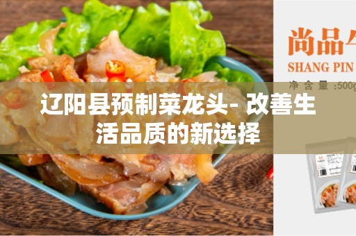 辽阳县预制菜龙头- 改善生活品质的新选择