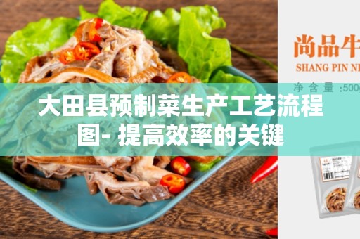 大田县预制菜生产工艺流程图- 提高效率的关键