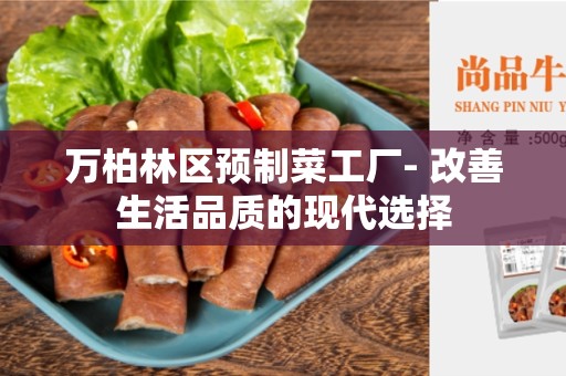 万柏林区预制菜工厂- 改善生活品质的现代选择