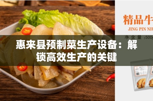 惠来县预制菜生产设备：解锁高效生产的关键