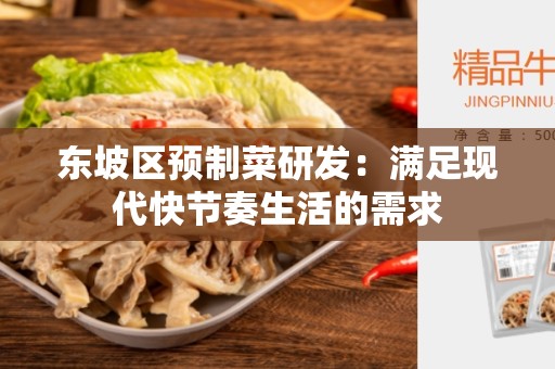 东坡区预制菜研发：满足现代快节奏生活的需求