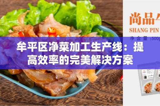 牟平区净菜加工生产线：提高效率的完美解决方案