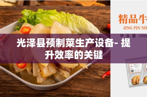 光泽县预制菜生产设备- 提升效率的关键