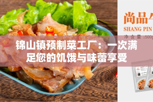 锦山镇预制菜工厂：一次满足您的饥饿与味蕾享受