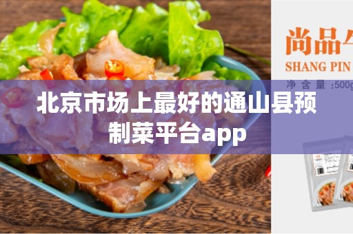 北京市场上最好的通山县预制菜平台app