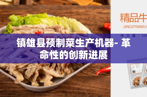 镇雄县预制菜生产机器- 革命性的创新进展