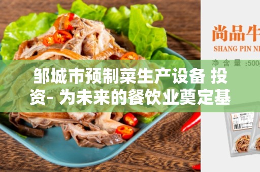 邹城市预制菜生产设备 投资- 为未来的餐饮业奠定基石