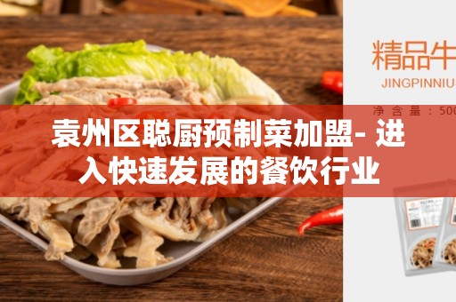 袁州区聪厨预制菜加盟- 进入快速发展的餐饮行业