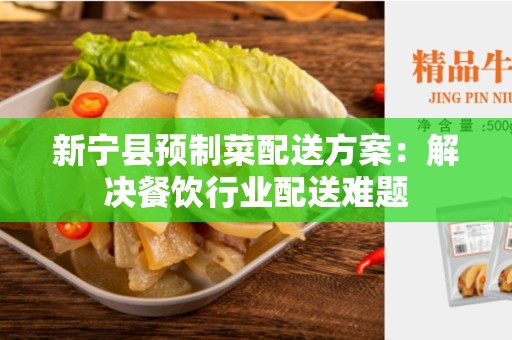 新宁县预制菜配送方案：解决餐饮行业配送难题