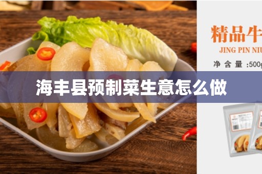 海丰县预制菜生意怎么做