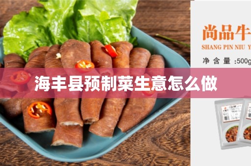 海丰县预制菜生意怎么做