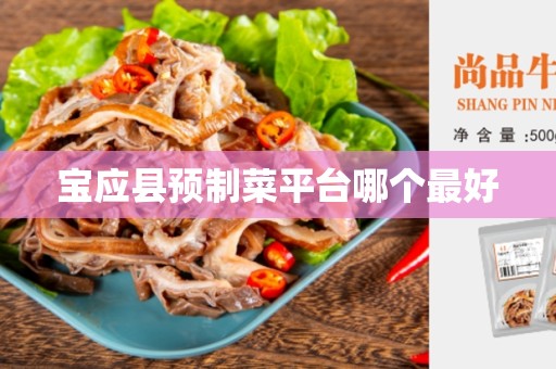 宝应县预制菜平台哪个最好