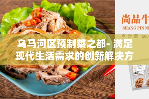 乌马河区预制菜之都- 满足现代生活需求的创新解决方案