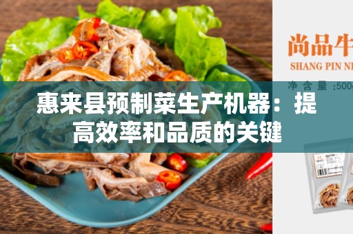 惠来县预制菜生产机器：提高效率和品质的关键