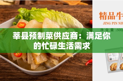 莘县预制菜供应商：满足你的忙碌生活需求