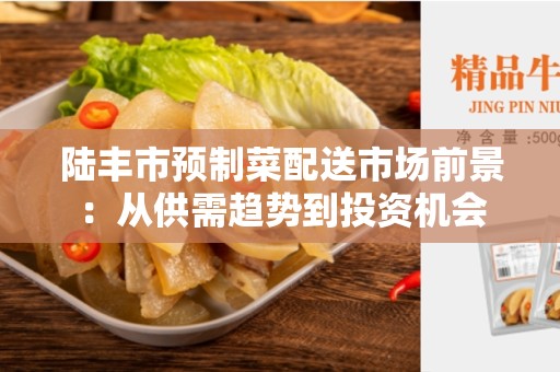 陆丰市预制菜配送市场前景：从供需趋势到投资机会