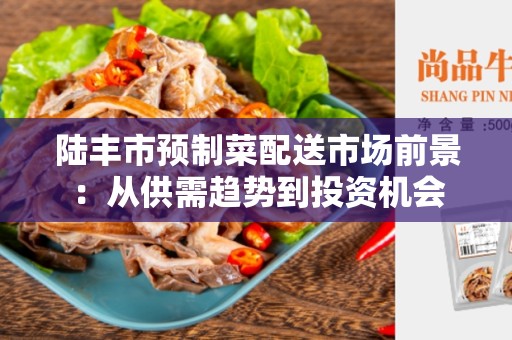 陆丰市预制菜配送市场前景：从供需趋势到投资机会
