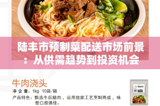 陆丰市预制菜配送市场前景：从供需趋势到投资机会