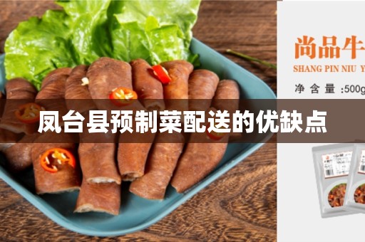 凤台县预制菜配送的优缺点