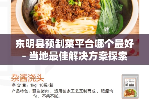 东明县预制菜平台哪个最好- 当地最佳解决方案探索