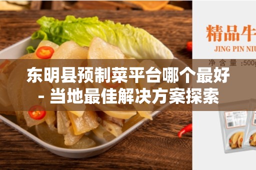 东明县预制菜平台哪个最好- 当地最佳解决方案探索