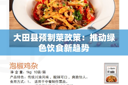 大田县预制菜政策：推动绿色饮食新趋势