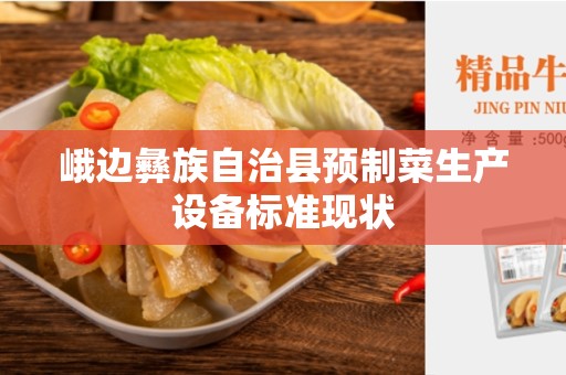 峨边彝族自治县预制菜生产设备标准现状