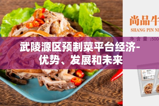 武陵源区预制菜平台经济- 优势、发展和未来