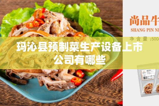 玛沁县预制菜生产设备上市公司有哪些