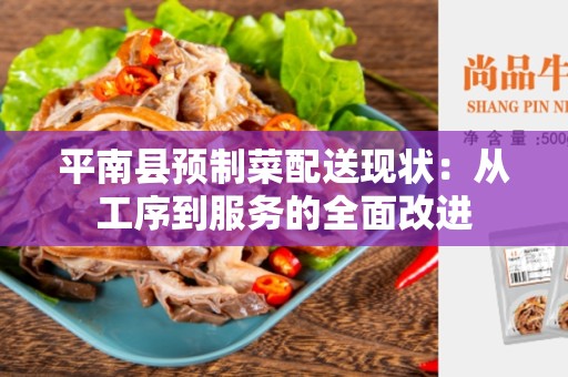 平南县预制菜配送现状：从工序到服务的全面改进