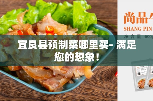 宜良县预制菜哪里买- 满足您的想象！