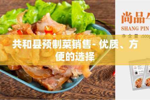 共和县预制菜销售- 优质、方便的选择
