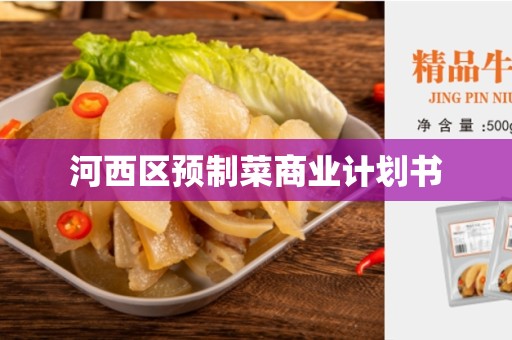 河西区预制菜商业计划书